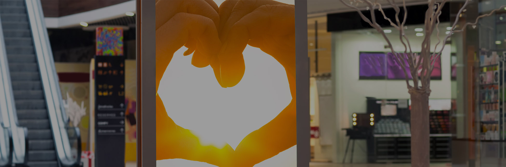 DAF Products Slider 14 DARK DAF Graphic Media